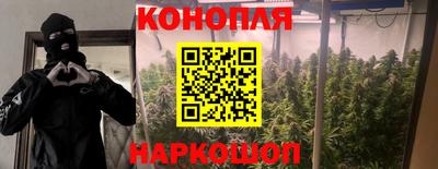 мяу мяу мука Ярославль