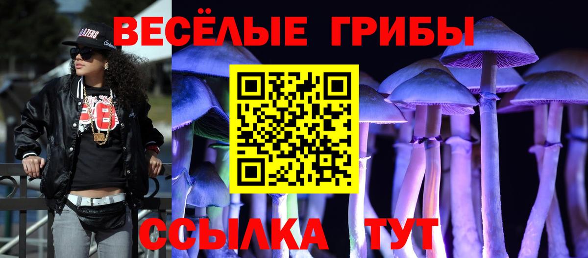 Галлюциногенные грибы GOLDEN TEACHER Партизанск