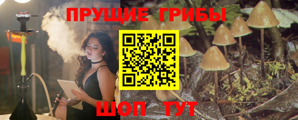 Псилоцибиновые грибы Psilocybine cubensis  Вход с VPN  Партизанск 